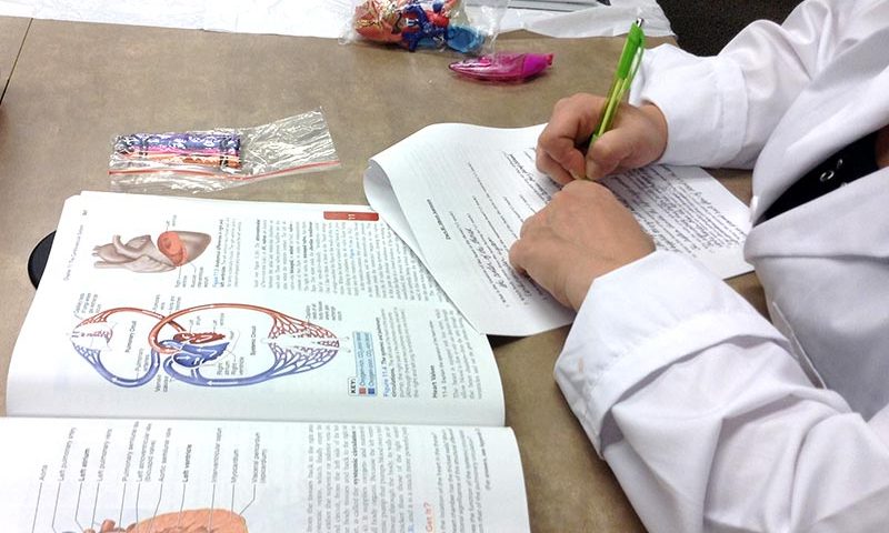 Image of a Student studying